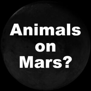 animals on mars