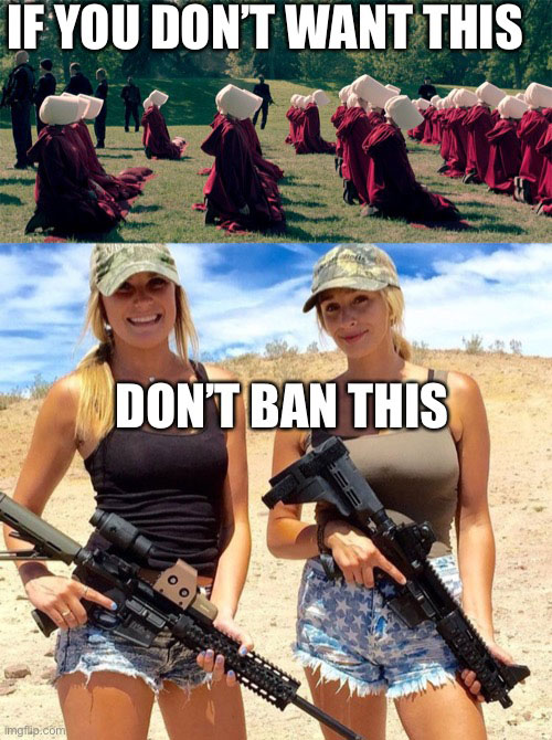 dont ban this second amendment meme